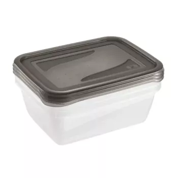 keeeper fredo fresh Food Storage Container Set, 3x 1.25 L, Rectangular, Transparent Base with Grey Lid 3067582700000