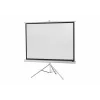 celexon Economy Tripod Projector Screen 133 x 133 cm White Edition