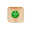 GoGreen Areca Palm Leaf Plates 15x15 cm Square 10-Pack Natural Disposable
