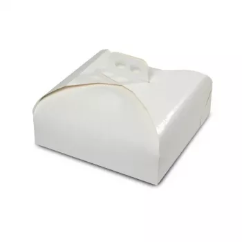 GUARDINI Easy Bake Paper Cake Carrier 33x33x11.5 cm