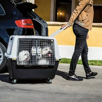 STEFANPLAST Gulliver Touring 80 Transport Cage for Large Dogs, Dark Grey/Light Grey, Airline Approved