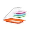 TATAY Fresh Food Storage Container for Cold Cuts 17x25.2x3.2 cm Assorted
