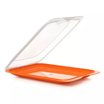 TATAY Fresh Food Storage Container for Cold Cuts 17x25.2x3.2 cm Assorted
