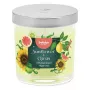BOLSIUS Floral Fusion Scented Candle in Glass Jar, Sunflower & Citrus, Ø80x72mm
