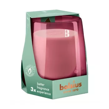 BOLSIUS Clean Light Scented Candle in Glass, Cypress & Amber, Ø95x85 mm