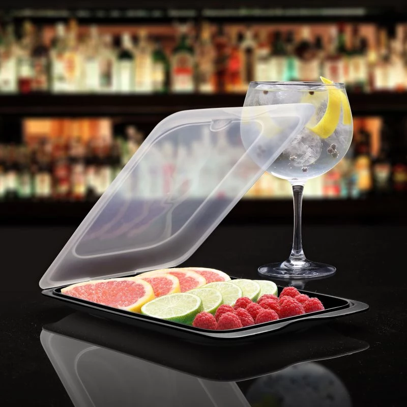TATAY Food Storage Container for Fruit and Sushi Coctail 17x25.2x3.2 cm Black