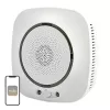 MOES WSS-S-GL Wi-Fi Gas Detector