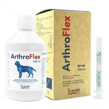 SCANVET ArthroFlex Syrup – Joint & Mobility Supplement for Dogs, 500 ml