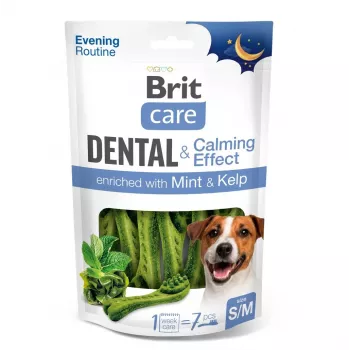 BRIT Dental Toothbrush S/M Calming Effect 140g