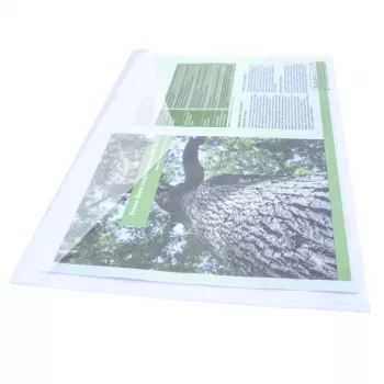 Rapesco ECO GRS A3 Document Wallets Clear (Pack of 10) 1817