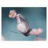 Bose QuietComfort Headphones Pink