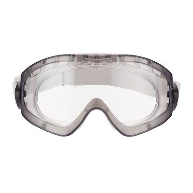 3M 2890SC1 Safety Glasses