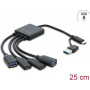 Delock 4 Port USB 5 Gbps Cable Hub with USB Type-C™ or USB Type-A Plug to 2 x USB Type-A Socket + 2 x USB Type-C™ Socket - 25 cm (64375)