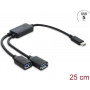 Delock 2 Port USB 5 Gbps Type-A Cable Hub with USB Type-C™ Connector 25 cm (64373)