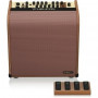 TC Helicon Harmony V100 Acoustic Instrument Combo Amplifier 100 W