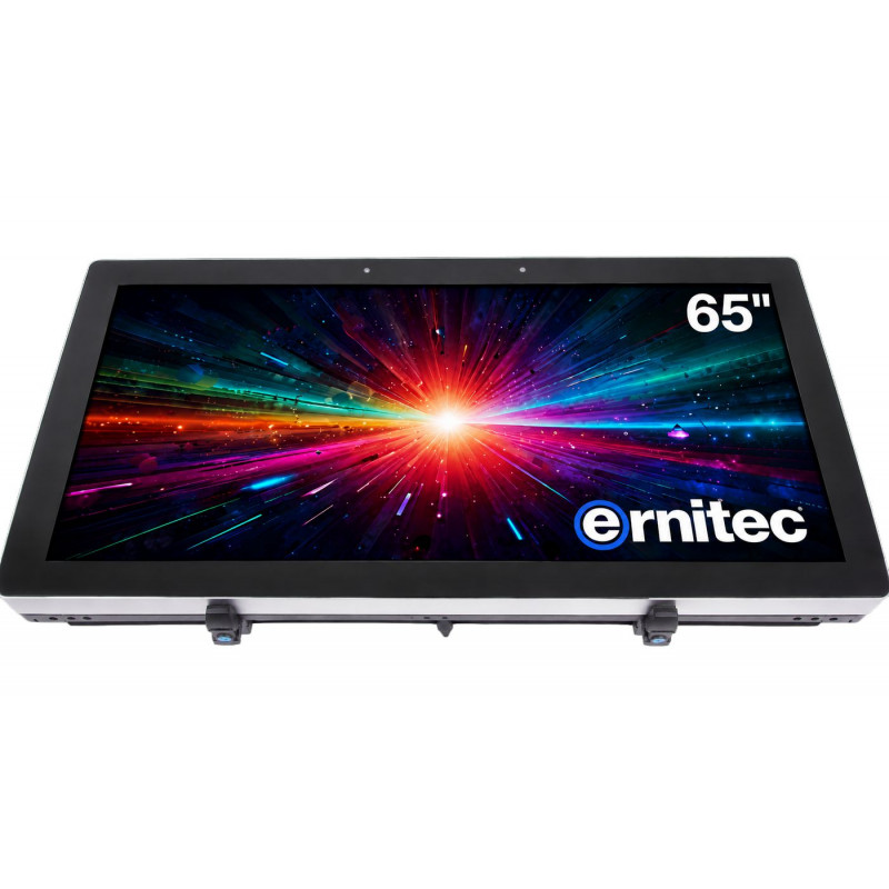 Ernitec 65 inch 24/7 4K UHD Monitor (0070-24165-HB3000-L)