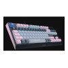 Razer BlackWidow V4 Tenkeyless HyperSpeed Wireless Gaming Keyboard, US, Orange Switch, Wuthering Waves Edition