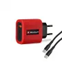 Einhell Fast Charger 4514149