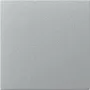 GIRA 349626 Rocker, Straight, System 55, Colour Alu