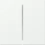 GIRA Rocker 349527, 2-Gang, Straight, System 55, Pure White Matt