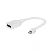 Gembird Mini DisplayPort to DisplayPort Adapter, White