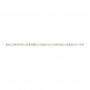 Brumberg 38202003 QUALITYFLEX Flexible LED Strip Board, 830, 48 W, 24 V, White