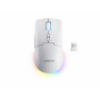 Lenovo Legion M220 RGB Wireless Gaming Mouse, 2.4 GHz / Bluetooth / Wired, Glacier White (GY51V60437)