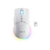 Lenovo Legion M220 RGB Wireless Gaming Mouse, 2.4 GHz / Bluetooth / Wired, Glacier White (GY51V60437)