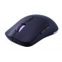 Lenovo Legion M220 RGB Wireless Gaming Mouse, 2.4 GHz / Bluetooth / Wired, Nebula Purple (GY51V60439)