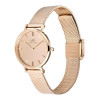 Daniel Wellington DW00100795 Women's Watch, 28 mm