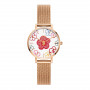 Daniel Wellington DW00100722 Women's Watch, 36 mm