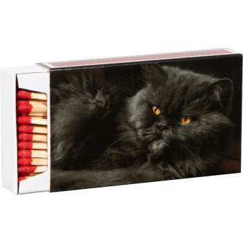 Flamax Matches 10 cm, 55 pcs in Box