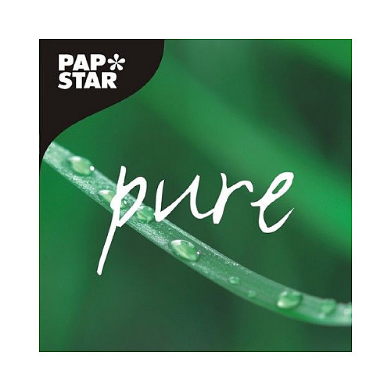 PAPSTAR Disposable Wooden Stirrers - 1,000 Pieces