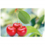 Asi Collection Placemat, 43.5 x 28 cm, Cherries Pattern