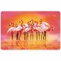 Asi Collection Placemat 43.5x28cm flamingo