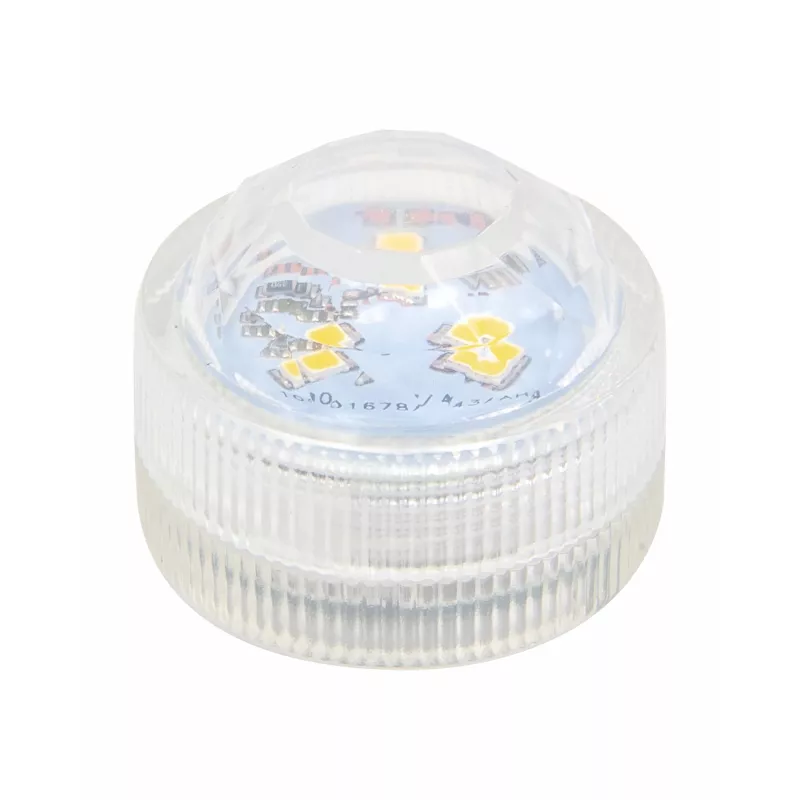 Folia Decorative LED Light, Transparent