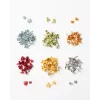 folia Paper Fasteners (Split Pins), Colourful