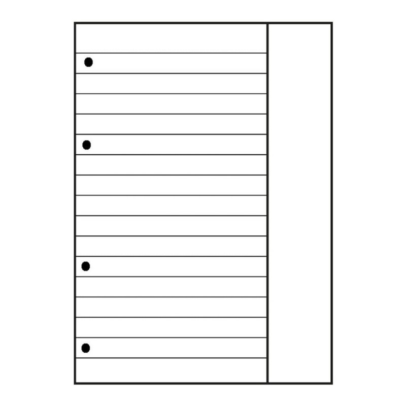 OXFORD ring binder insert A4 lined, 50 sheets