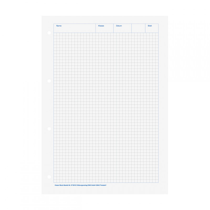 BRUNNEN Writing Pad DIN A4, Squared