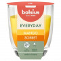 Bolsius Everyday Scented Candle in Glass Ø70 x 80 mm, Mango Sorbet