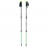 Viking Kivi Trekking Poles for Adults, Green