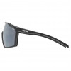 UVEX MTN Perform Multi-Sport Glasses, Black