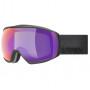 UVEX Victorious CV Ski Goggles