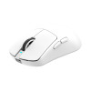 White Shark BORS-W WGM-5021 wireless gaming mouse, 12000 DPI, black
