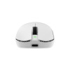 White Shark AGAMEMNON WGM-9012 gaming mouse, white