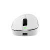 White Shark CAMILLUS WGM-9013 gaming mouse, white