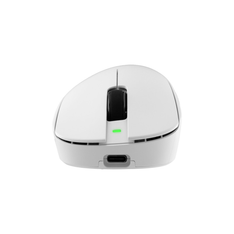 White Shark CAMILLUS WGM-9013 gaming mouse, white