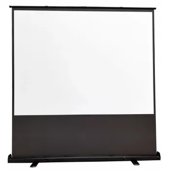 Reflecta 40770 portable floor projection screen, 204x200 cm, 16:9