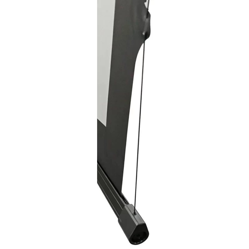 Reflecta TensioLine ALR Motor RC 87800 motorised projection screen, 229x158 cm, 16:9