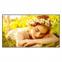 LG 55UL5Q-M 55-inch LCD display, 3840 x 2160, 4K Ultra HD, 16:9